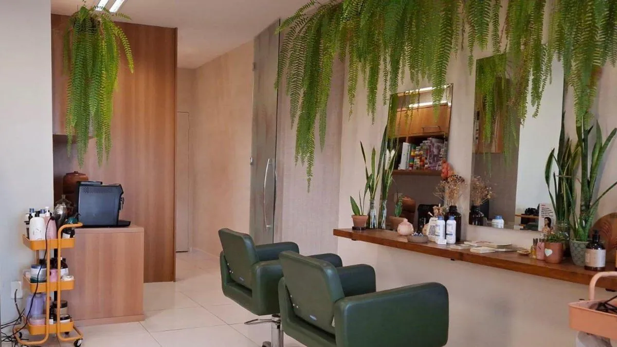 foto do salão (samambaias, luz natural)